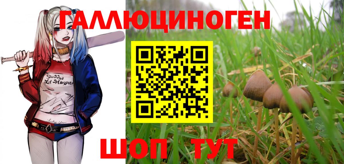 Галлюциногенные грибы прущие грибы  купить   Тобольск  Галлюциногенные грибы мицелий  Вход с VPN 